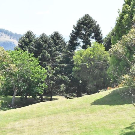 Maleny Hinterland Escape Witta Exterior foto