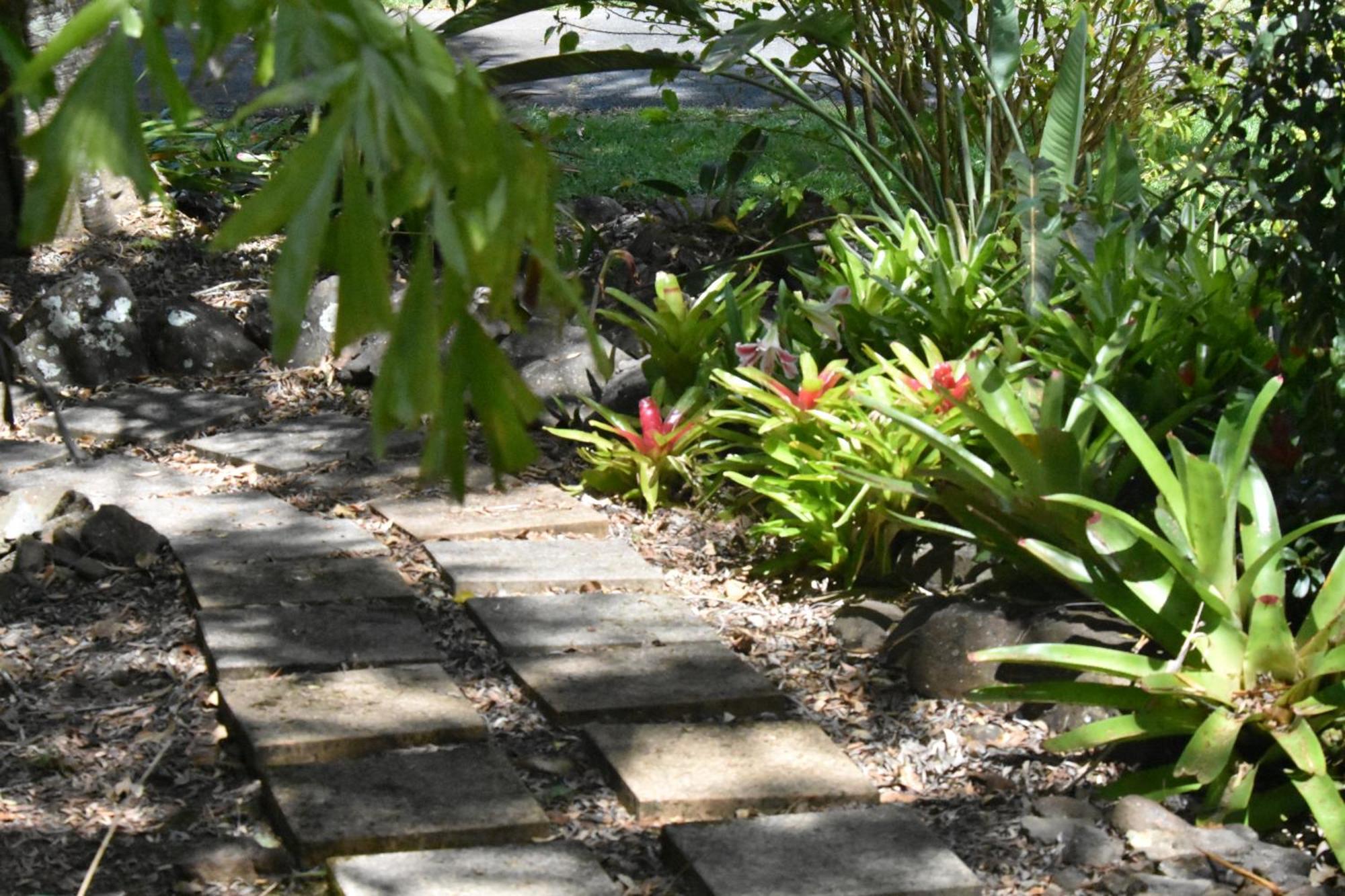 Maleny Hinterland Escape Witta Exterior foto