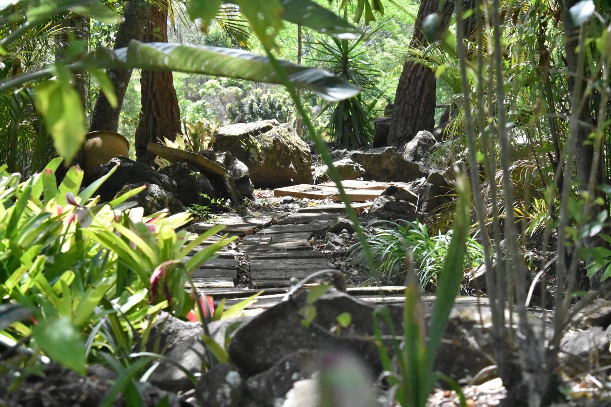 Maleny Hinterland Escape Witta Exterior foto