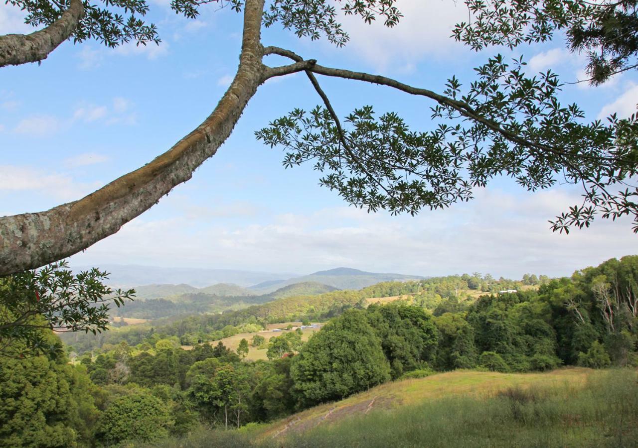 Maleny Hinterland Escape Witta Exterior foto